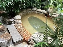 -三江森林温泉度假区