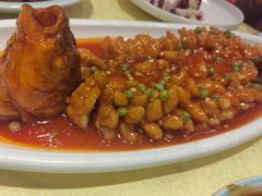 -新侨小馆(东直门北小街店)