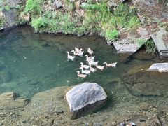 -石台牯牛降景区