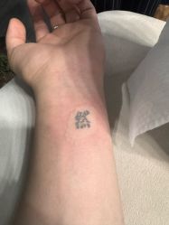 点击看大图 -龙之吻专业刺青·手工耳洞·纹身去色