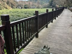 -杭州少年儿童公园