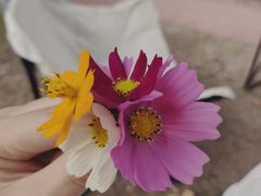 -苏颂公园