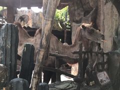 -长鹿旅游休博园