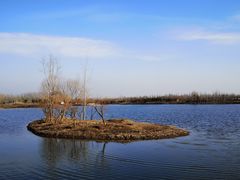-东郊湿地公园