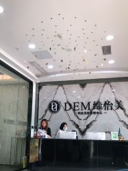 -DEM缔怡美科技美容