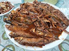 -金台阶鱼馆(于桥水库店)
