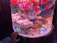 -南昌融创海世界
