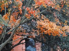 -苏州大学(天赐庄校区)