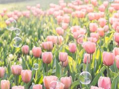 -森林公园(尖草坪区)