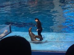 -合肥海洋世界