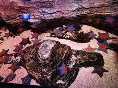 -沈阳海洋探索中心