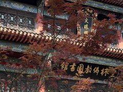 -成都市文殊院