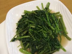 -台北楚楚园馅饼粥(虹桥南丰城店)