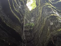 -梭布垭石林景区