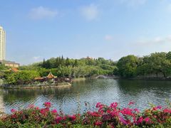 -深圳龙潭公园
