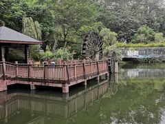 -重庆彩云湖湿地公园