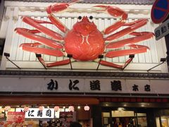 -蟹道乐(道顿堀本店)