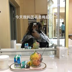-Alger.O美感沙龙