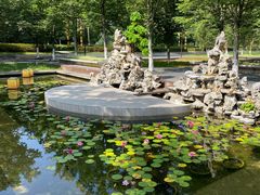 -长田漾湿地公园