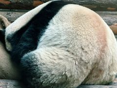 -济南野生动物世界