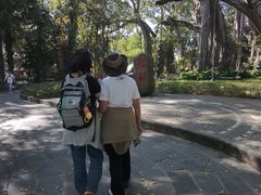 -瑞丽独树成林风景区