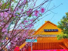 -清境桃源