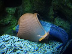 -蓬莱欧乐堡海洋极地世界
