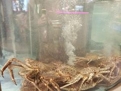 -海底捞大排档火锅(打浦路店)