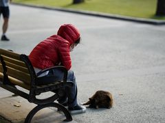 -苏州河梦清园环保主题公园