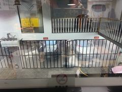 -天猫养车贴膜轻改·蓝电(优匹康桥东路店)