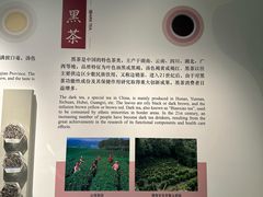 -中国茶叶博物馆(双峰馆区)