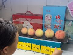 -老袁家蜜桃农场·阳山水蜜桃