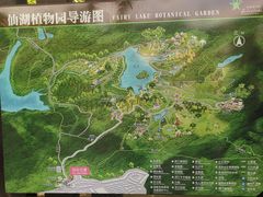 -深圳仙湖植物园