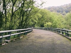 -西湖风景区-江洋畈生态公园