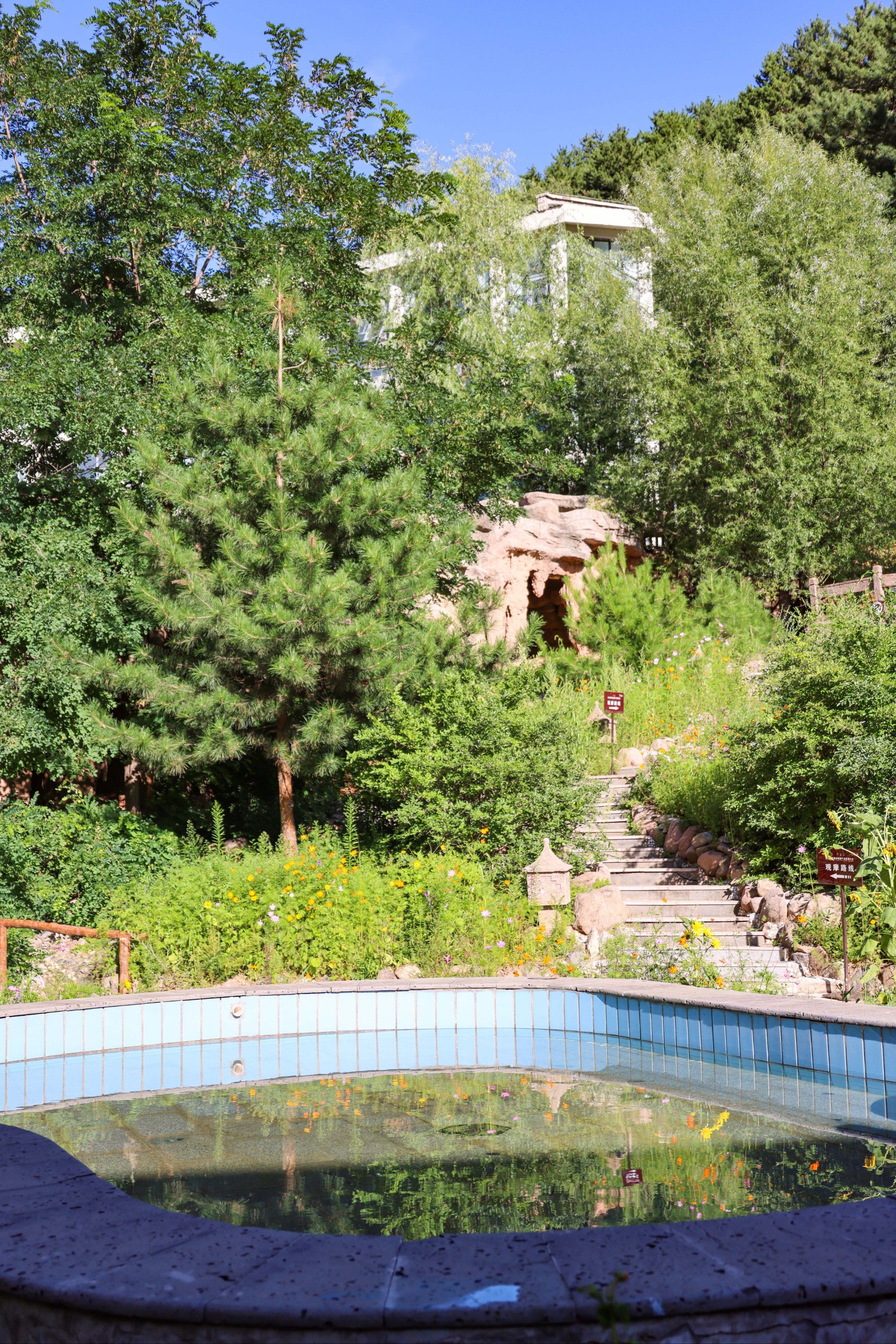 在枫水湾森林温泉城,我找到了答案.答案就是:太舒服啦!