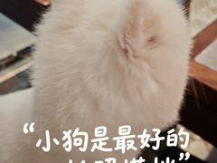 -北京SKP