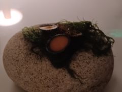 -深圳文华东方酒店·OPUS 388·精致法餐