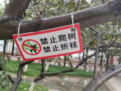 -桃花堤公园
