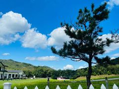 -大连铭湖国际观光牧场