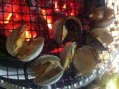 iphone_upload_pic-鞍山戰