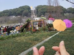 -苏州上方山国家森林公园