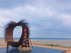 -贝壳沙滩