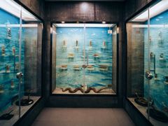 -下渚湖国家湿地公园科普馆