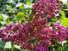 -国家植物园南园