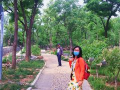 -阳台山自然风景区