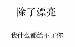 -GT潮朴美业