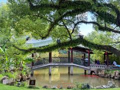 -江心屿景区