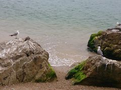 -海驴岛(荣成市)