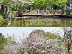 -南山植物园