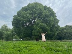 -梁鸿国家湿地公园